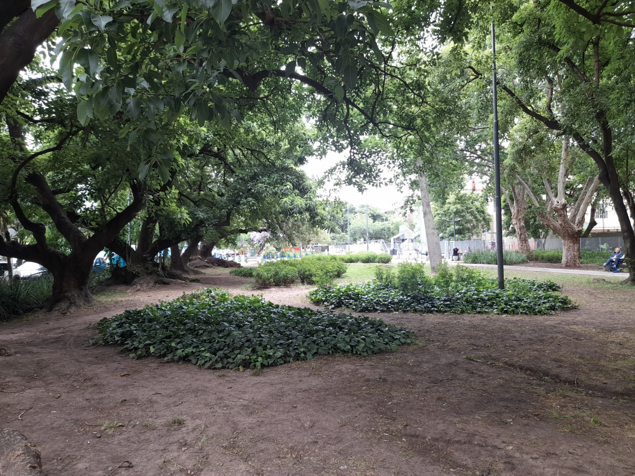 Vista abierta a la ciudad! Alquiler con o sin muebles. ALQUILADO!