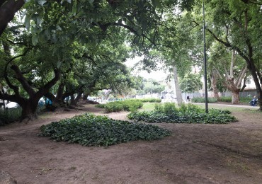Vista abierta a la ciudad! Alquiler con o sin muebles. ALQUILADO!